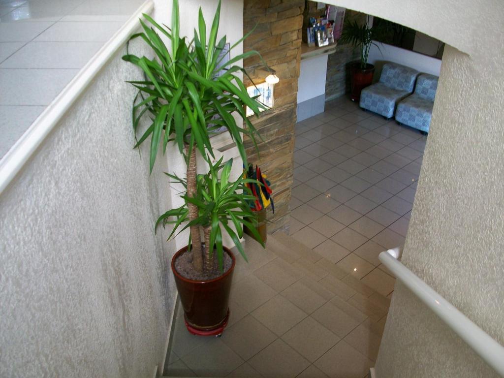 Plage Des Pins Argeles-sur-Mer Exterior photo